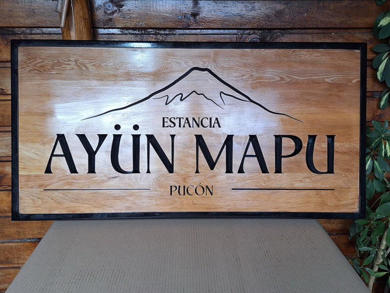 Ayün Mapu — Letrero tallado en mañío