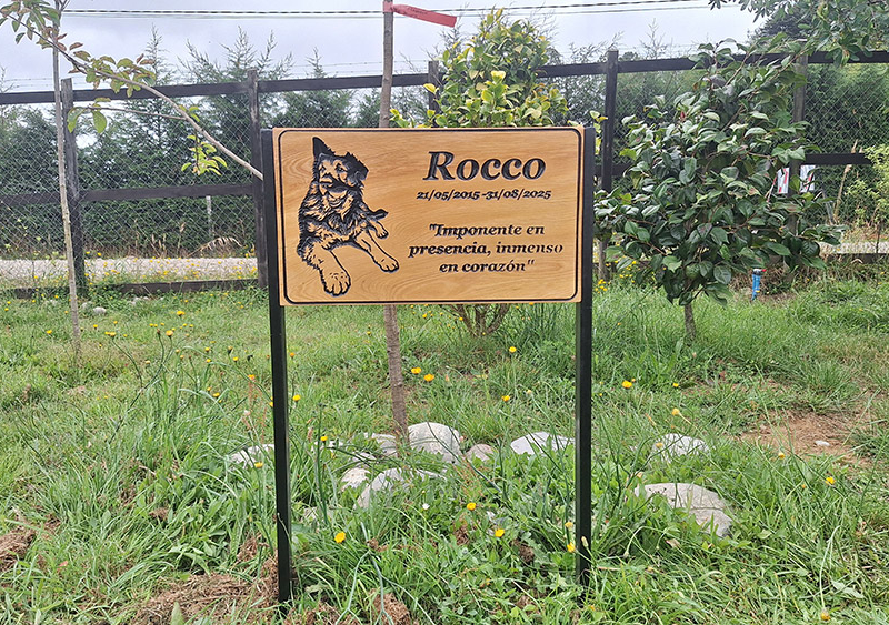 Letrero recuerdo "Rocco" — Letrero tallado en mañío.