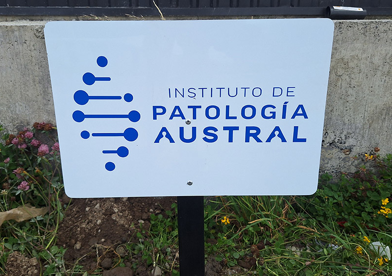 Patología Austral — Letrero alucom con logo en vinilo